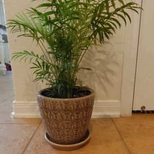 Meet your Posher, Rocio